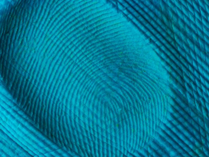 Article | Current Challenges & Opportunities In The Field Of Biometrics