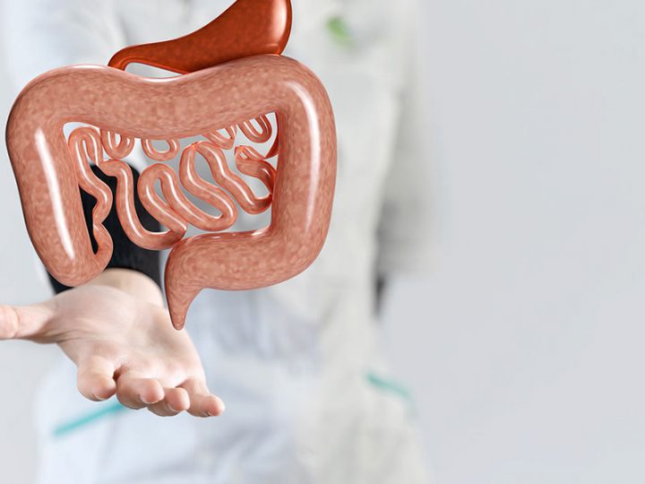 Article | Pharma Perspective: IBD